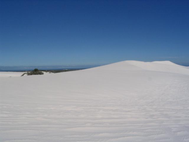 Soft white dunes rolling to a bare horizon line