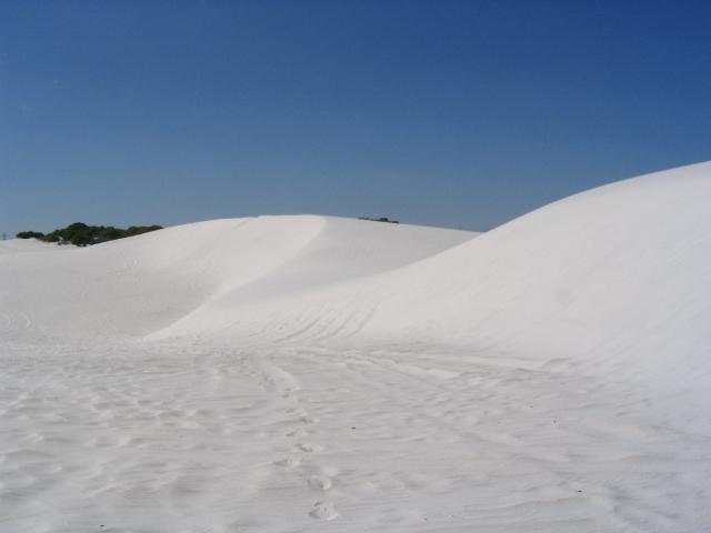 Sweep of dune crest with wind ripples and scattered scrub at its foot