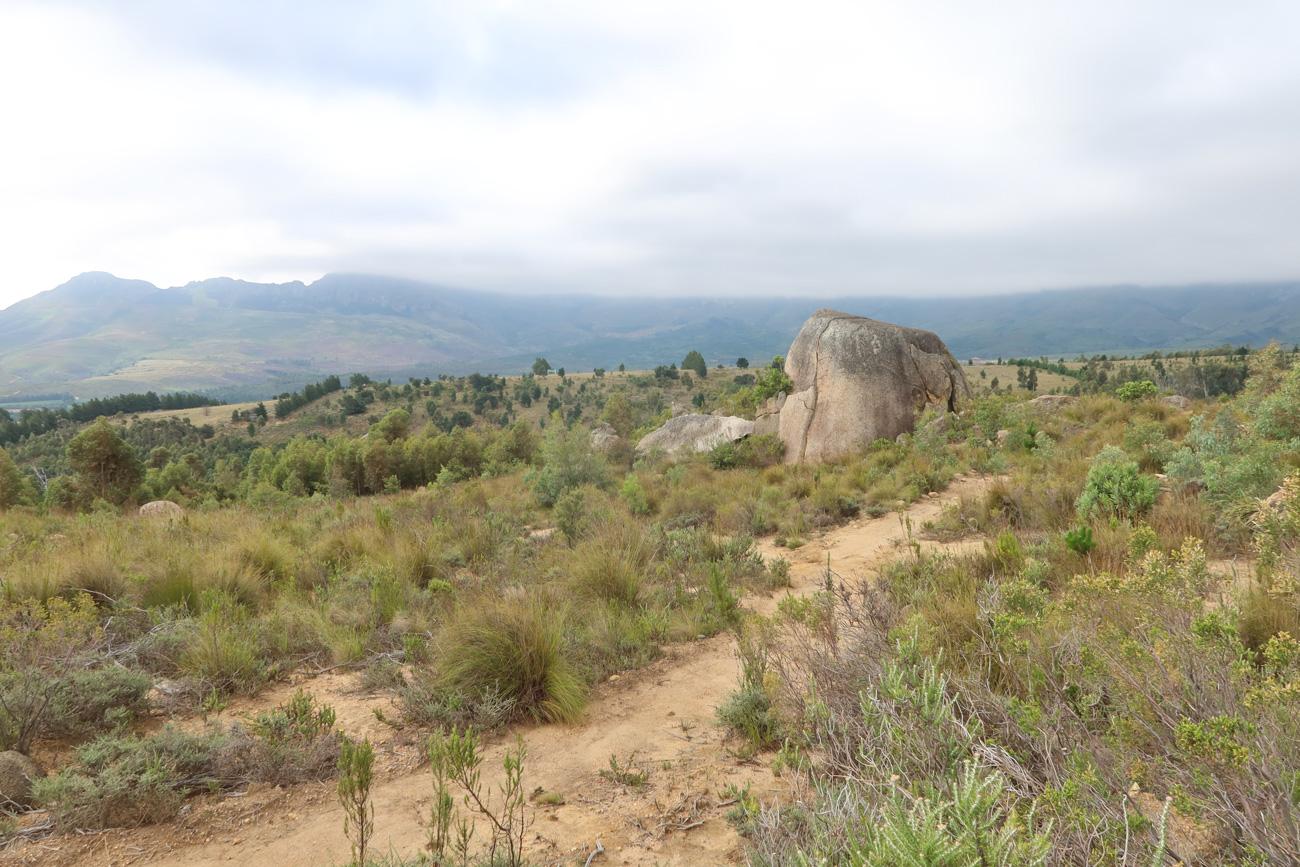 Granite boulders and fynbos on the Graskop plateau under a grey sky
