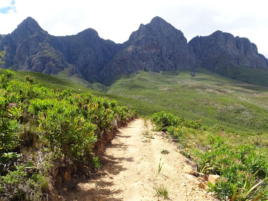 Jagged Helderberg peaks rising directly above a stony estate track