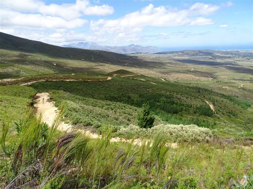 Winding track across a fynbos valley with distant sea horizon, seen from high ground