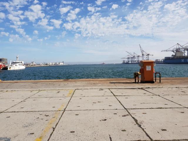 Open quay apron running to the water with container terminal cranes across the bay