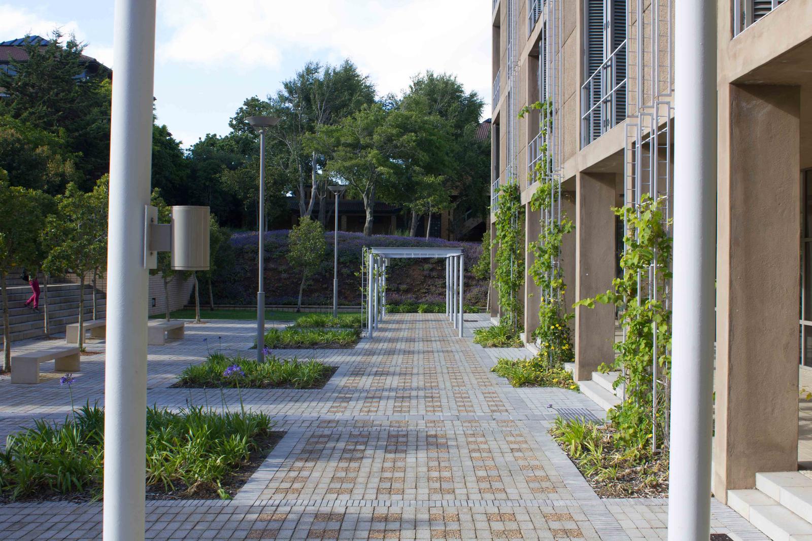 Modern covered walkway and planted court on UCT middle campus